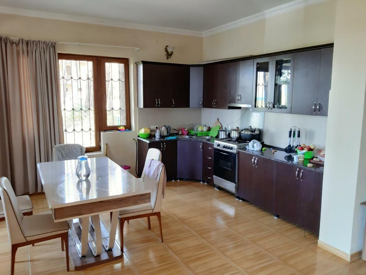Hotel Niko Shekhvetili Buitenkant foto
