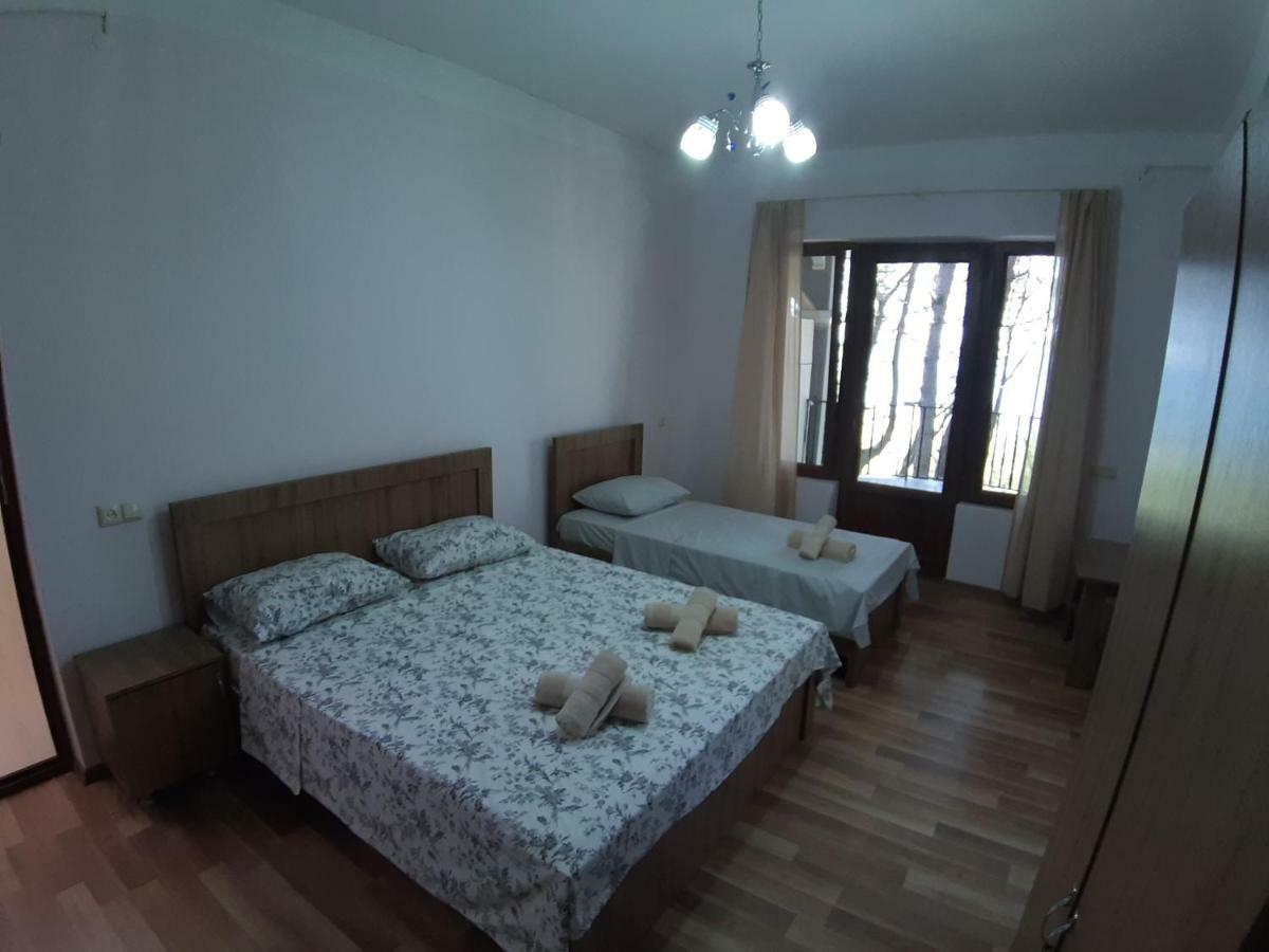 Hotel Niko Shekhvetili Buitenkant foto
